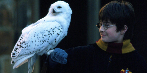 Harry Potter and the Philosopher's Stone   Daniel Radcliffe UK